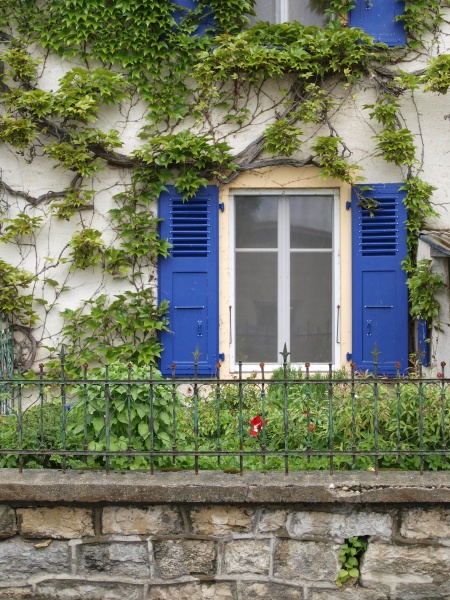 AdobeStock_14023651-min.jpeg